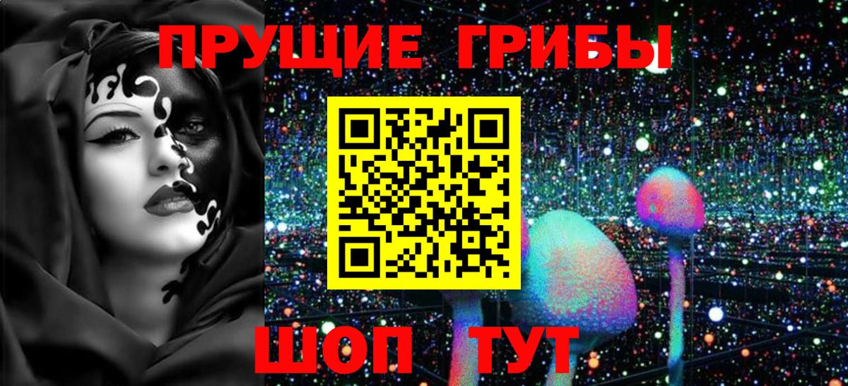 как найти наркотики  Вход с VPN  Коммунар  Галлюциногенные грибы Magic Shrooms 